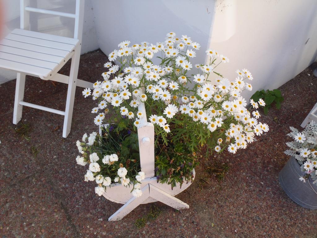 Hotel Oddevej 20 Skagen Zewnętrze zdjęcie